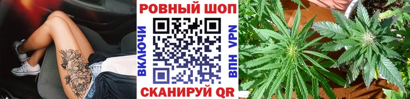 Как найти наркотики Сураж Гашиш  Каннабис  Амфетамин  МЕФ 
