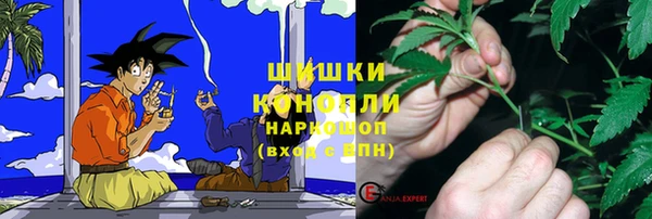 шишки Верея