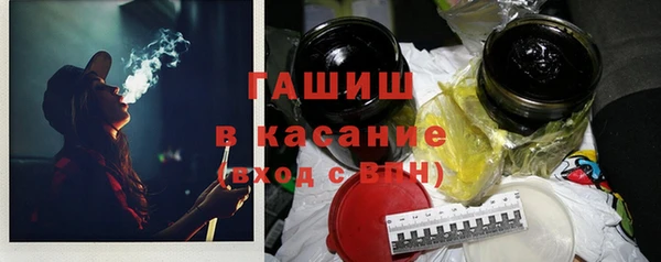 шишки Верея