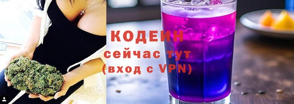 шишки Верея