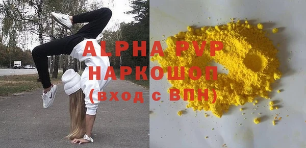 шишки Верея