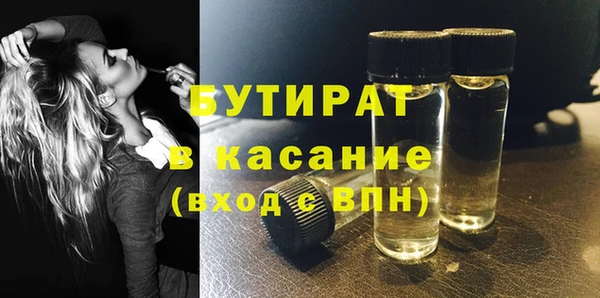шишки Верея