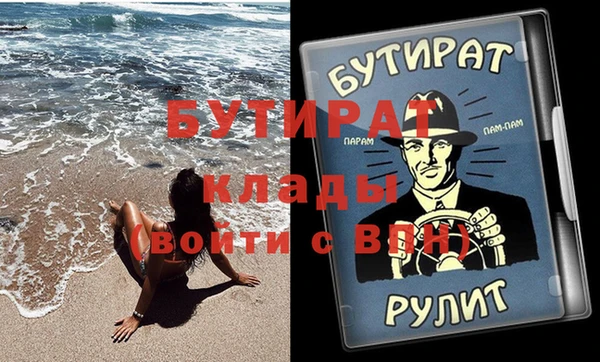шишки Верея