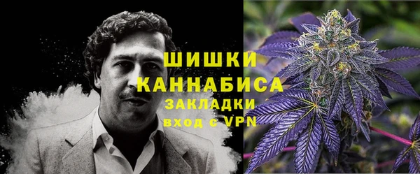 шишки Верея