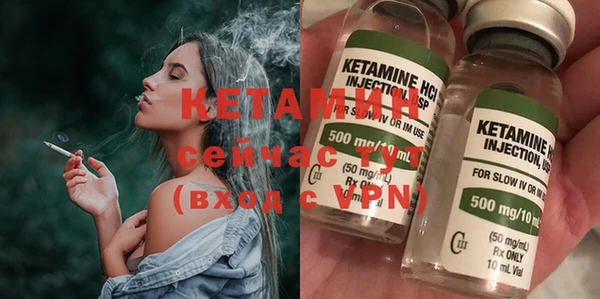 шишки Верея