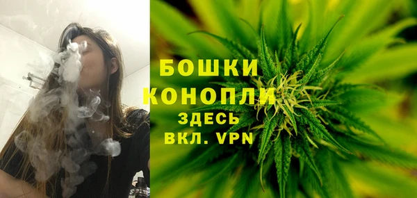шишки Верея