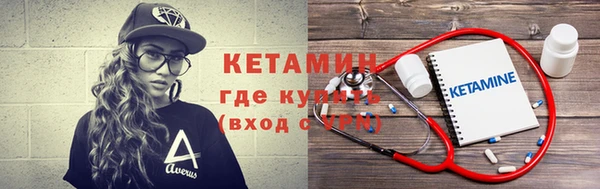 шишки Верея
