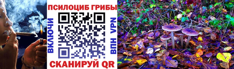 Галлюциногенные грибы Psilocybe  Сураж 