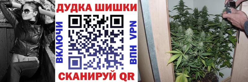 Канабис ГИДРОПОН  kraken рабочий сайт  Сураж 